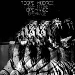 tigrez moorez_breakage