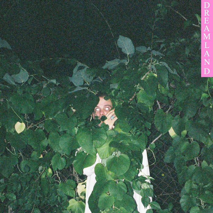 Dreamland: Teal Child’s new release
